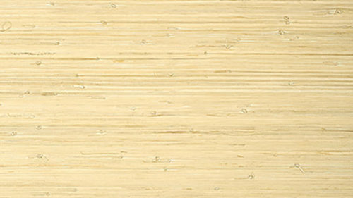 RAFFIA PALM T24065